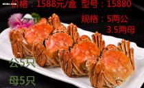 蘇州食品飲料產業鏈全解析 從源頭到餐桌的完整生態